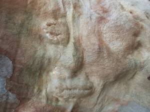Tree Faces from Down Under