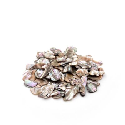 Abalone Shell Pieces