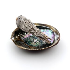 Full Abalone Shell
