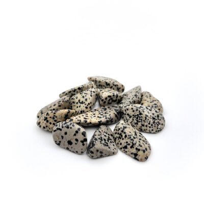 Large Tumbled Dalmatian Jasper