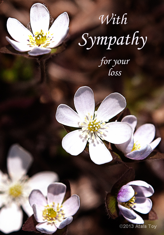 p-47322-sympathy-1.jpg