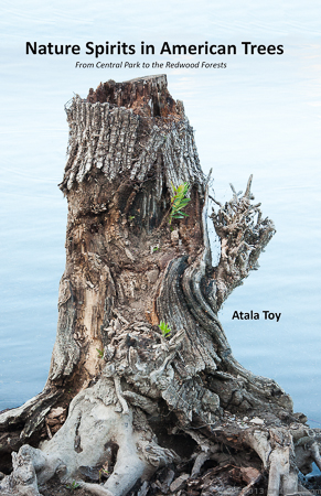 Nature Spirits in American Trees by Atala Toy