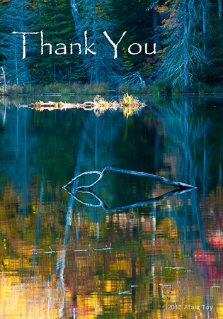 Thank You with Lake View - Card