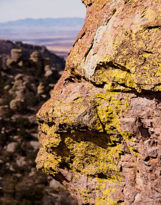 Chiricahua HooDoos