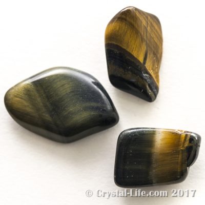 multi-color tumbled tiger eye