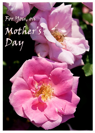 For You, on Mother's Day - Card