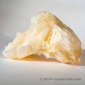 Angel Wing Calcite
