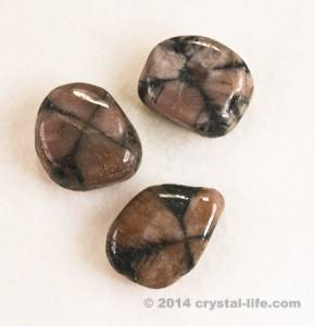 Chiastolite - Tumbled