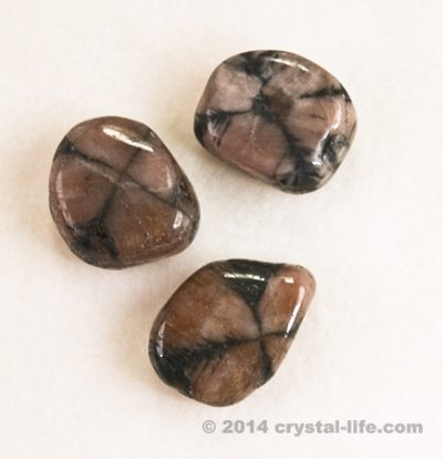 Tumbled Chiastolite