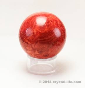 Red Coral