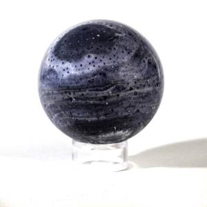 blue coral
