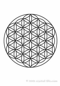Flower of Life - Masculine - Card