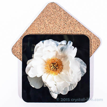 Art Coaster | White Peony