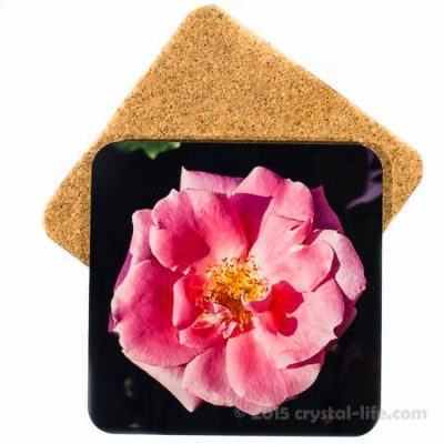 Art Coaster - Pink Rose