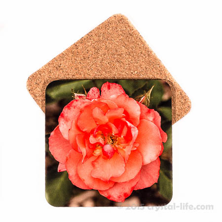 Art Coaster | Salmon Rose