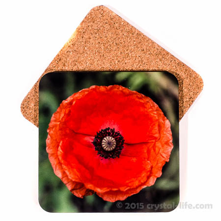 Art Coaster – Red Poppy