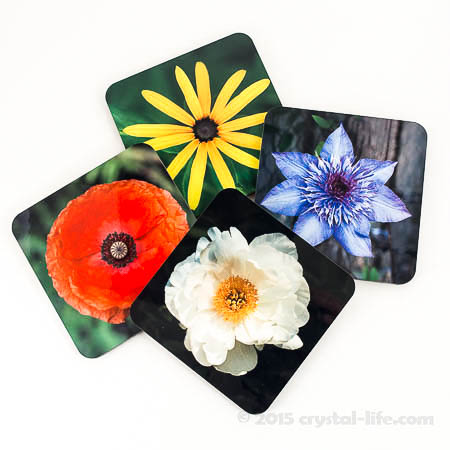 Art Coaster Set – Heart of the Flowers