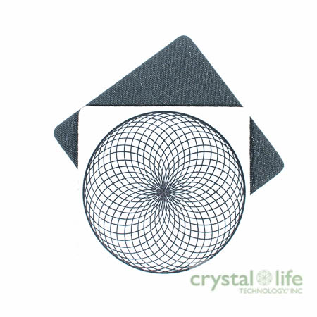 Coasters | Torus