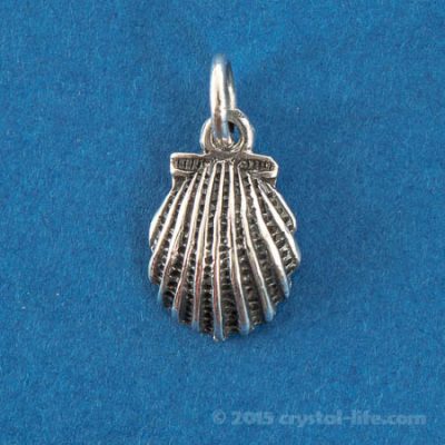Shell Pendant - 1/2" Sterling Silver
