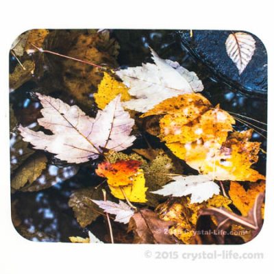 Mouse Pad - Maple Leaves in Water