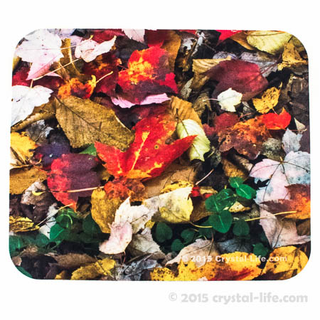 Mouse Pad - Autumn Leaves with Partridge Berry
