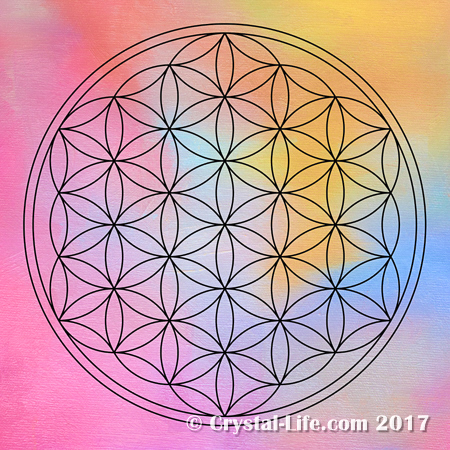 Flower of Life Color Print 12x12