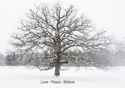 Love - Peace - Believe Card