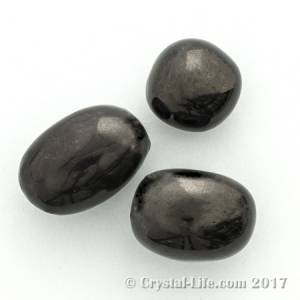 Jet Fossilized Wood Crystals Gemstones Crystal Life Technology Inc