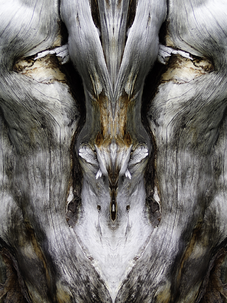 Nature Being 4 by WK Pedersen