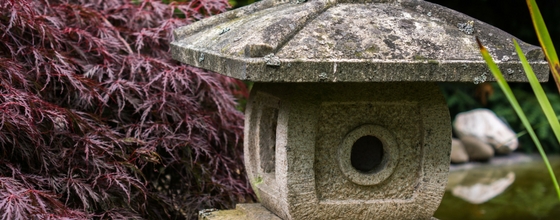 Feng Shui & Your Health
