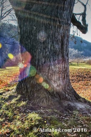 Spirit Photography and Lens Flare