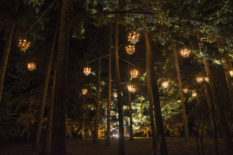 A Visit with the Nature Spirits