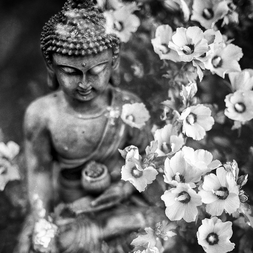 Feng Shui and the Energy of Wealth