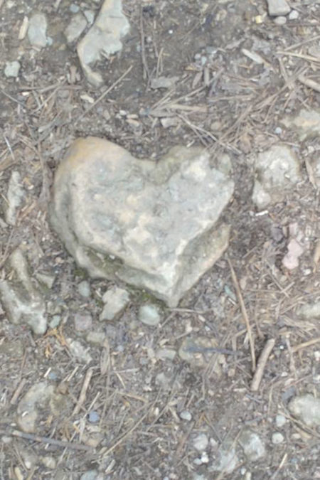 1901 | January’s Nature Spirit Photo Winner | Tera DeMarco’s Three Hearts