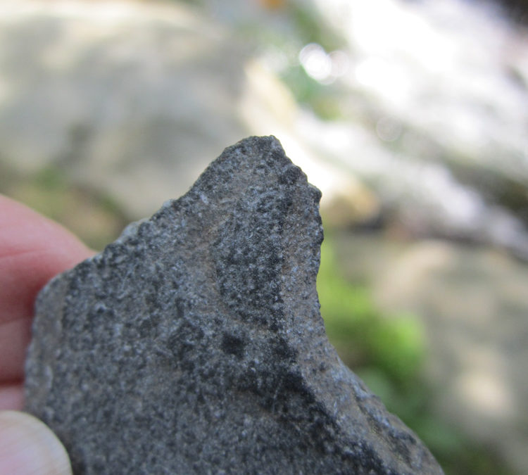 1906 | Sandra Matuschka’s Stone Wizard Wins the June Nature Spirit Photo Contest