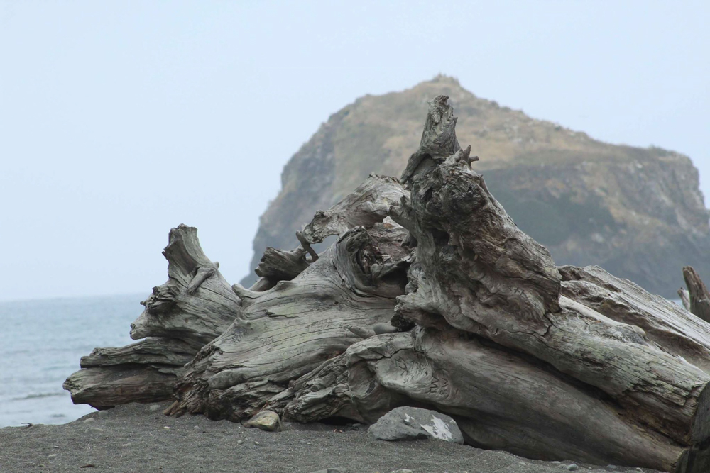 1907 | Julie Kopitko Weeden wins July’s Nature Spirit Photo Contest