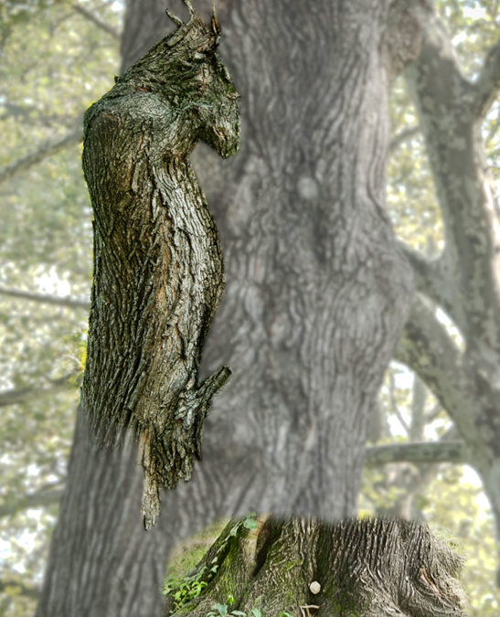 Central Park Gryphon | Nature Spirits Blog