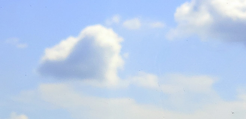 Julie Kopitko Weeden Heart Cloud 1002