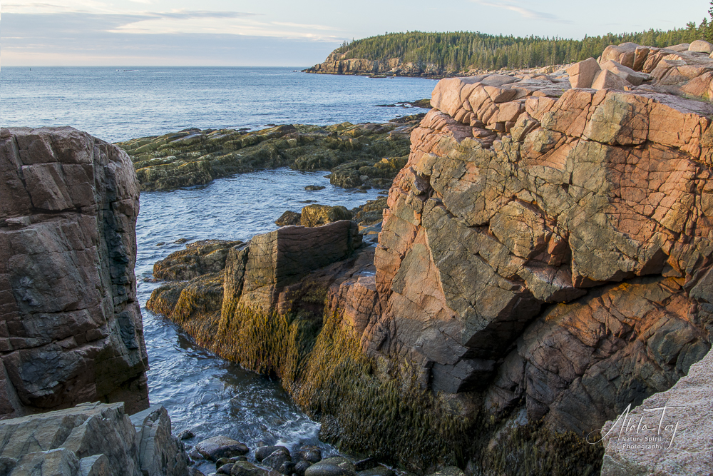 Rock Spirit: Stability in a Time of Change