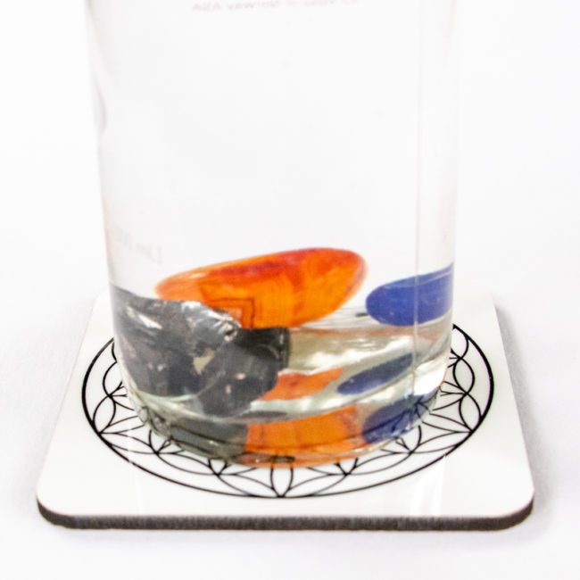 immune system in water