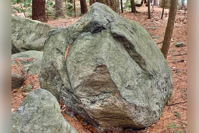 A Group Where Nature Spirits Are Real…