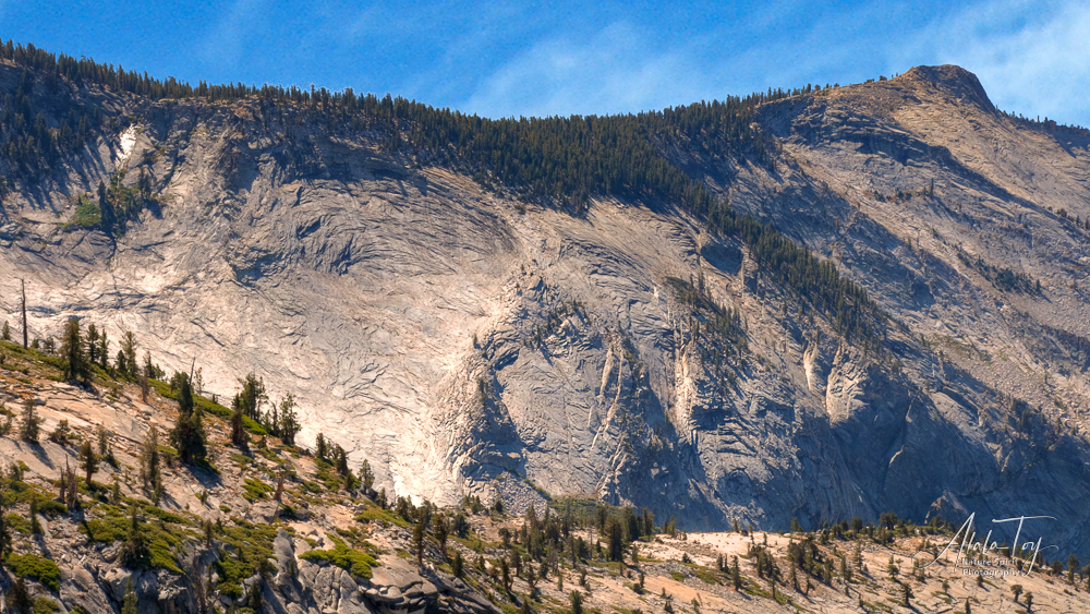 Nature Spirits at Olmsted Point, Yosemite