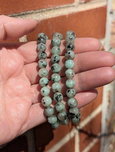 Kiwi Jasper