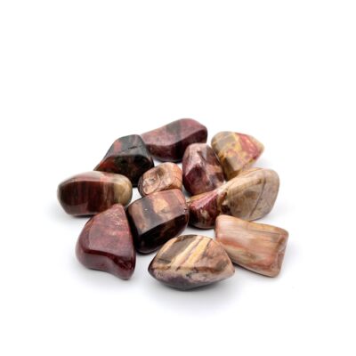 Tumbled Petrified Wood
