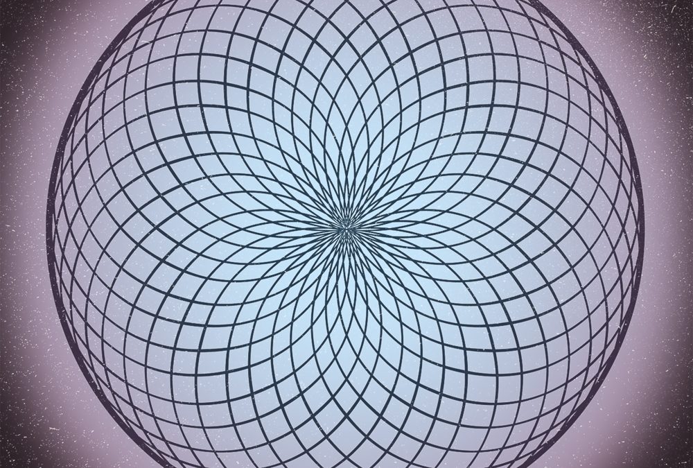 Torus Products | Color