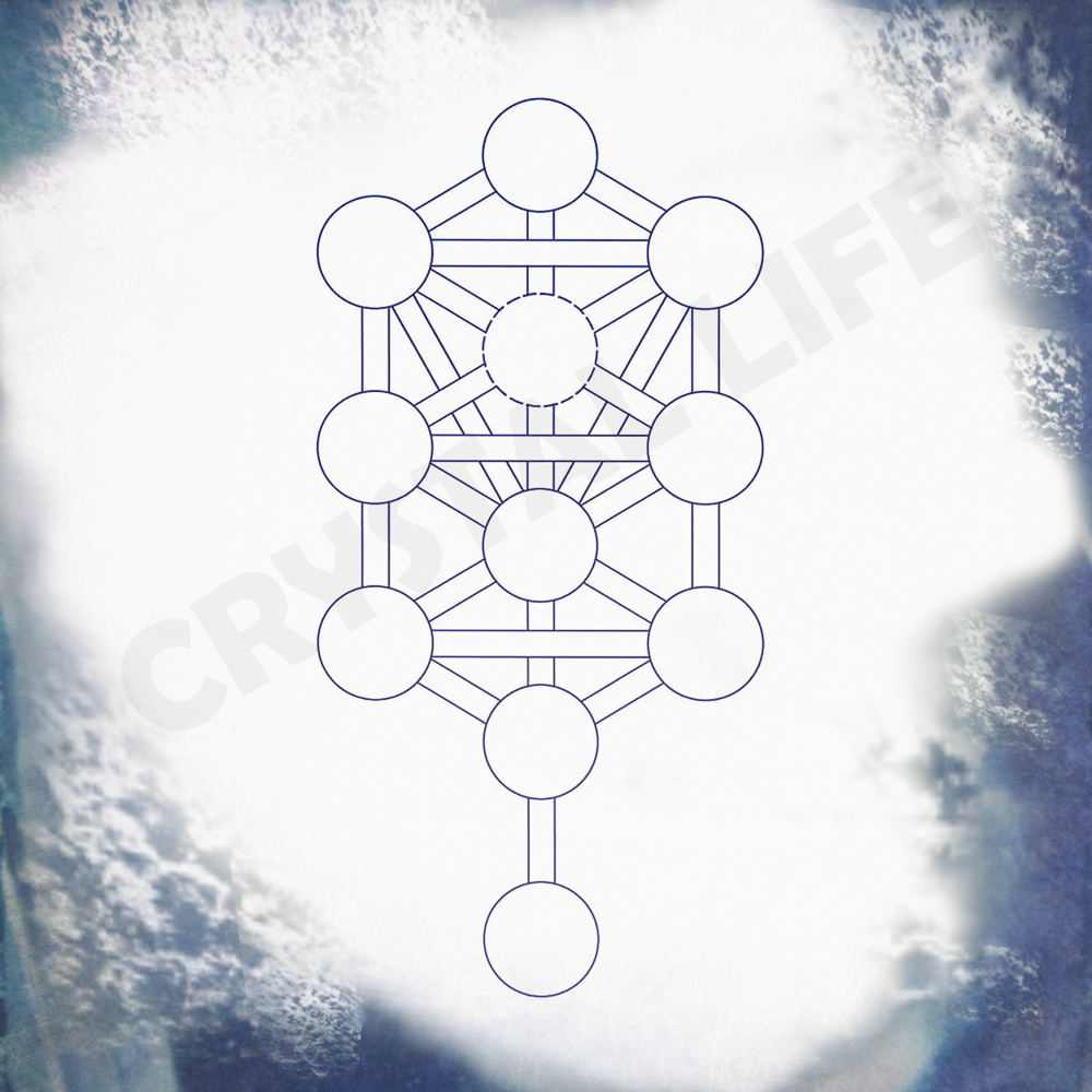 12 x 12 Color Tree of Life | Sacred Geometry | Crystal ... tree rings diagram 