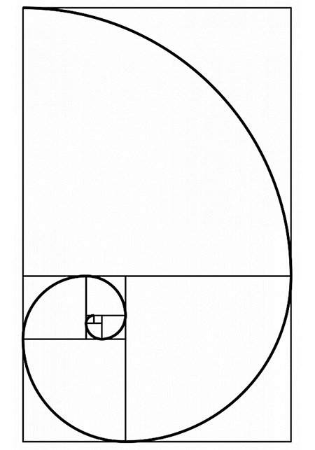 All Fibonacci Spiral Products | Crystal Life