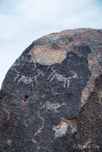 Deer Petroglyph