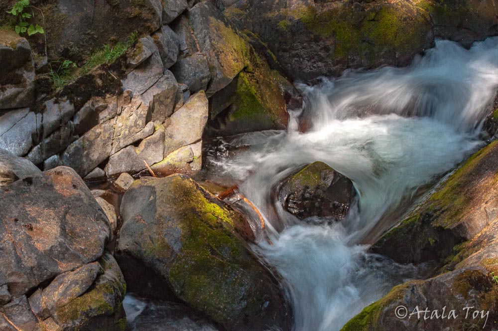Water Spirit | Washington
