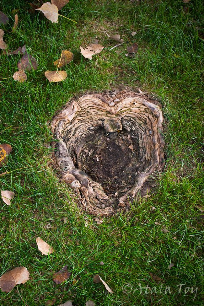 What are Portals and How Do Portals Work? Crystal Life